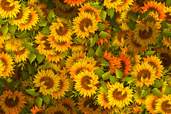 Download Sunflower Pattern High Quality - Flower pattern Collection